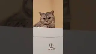 14 апреля 2023 г.