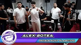 Alex Botea - Fetele sunt slabiciuni by👍Never Hide Events🔔