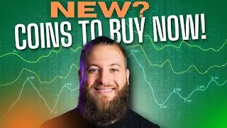 If I Had $1,000 To Start In Crypto Here Is How I Would Do It!
