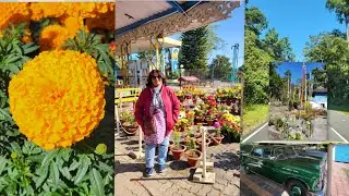 Mal junction to Jhalong journey by car  🚗 with beauty of nature 😍 👌 