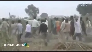 Pilibhit tiger attack(7)