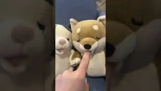 CES 2025 - Yukai Engineering's Amagami Ham Ham Finger Nibbling Robot and Petit Qoobo #CES2025 #pet