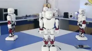 Sirena Robotics Lab for Schools