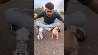 New Rc Camel and Elephant Unboxing and Testing