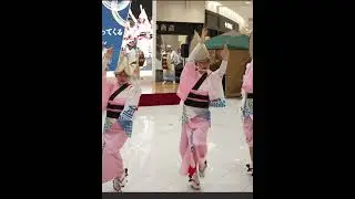 #awaodori #awadance #festival #dance #summerfestival #awaodori #festival #Minamikoshigaya Awaodori