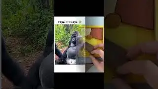 papa pit gaye 🤣 #shortsfeed #funny #shortsvideo #comedy #subscribe #automobile