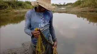 Pesca con atarraya en Colombia  la mojana