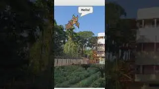 Scratch Animation 1