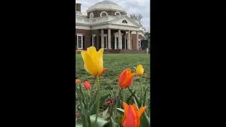 Touring President Thomas Jefferson&rsquo;s Monticello Home 🇺🇸 #presidenthouse #ushistory