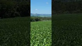 Drone Agr&iacute;cola Huida Tech HD540 Pro