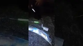 como pegar peixe espada com a melhor isca... #pescaria #pesca #elitepesca #fishing #pescaria