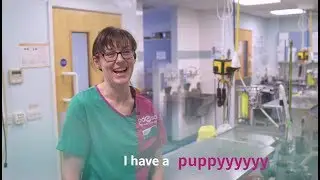 The People's Vet: meet Vet Team Leader Caroline