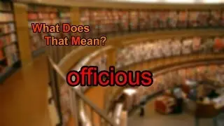 What does officious mean?