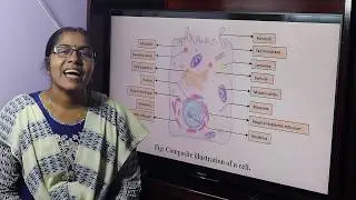Lecture On Cell ( Part-I )