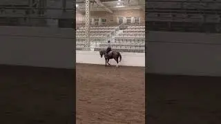 Hey guys! Back from a break, check pinned comment 🩷 #fyp #shorts #horse #viral #popular