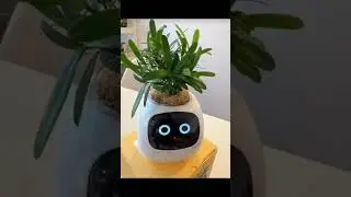 Make Your Plant Talk With the Smart AI Planter With 49+ Expressions and Sensors