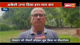 Rewa में पर्यावरण प्रेम की मिसाल बने Devmani Tripathi | 30 साल से मेहनत कर उगा दिया हरा भरा वन