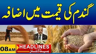 Wheat price increases | 08am News Headlines I 31 Dec 2025 I City 41