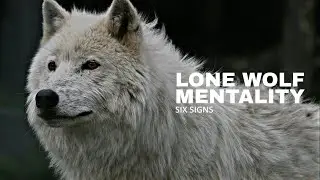 LONE WOLF MENTALITY - Best Motivational Speech