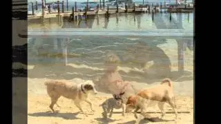 Reddog & Friends, Pirate's Cove, Josephine, AL Oct 2010