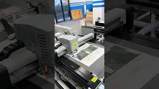 pkg 5