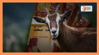 Goat farmers in Kimalel demand payment two months after sales, threaten protest over alleged fraud