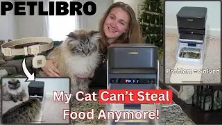 Petlibro One RFID Feeder Review | The Best Smart Feeder for Multi-Cat Homes?