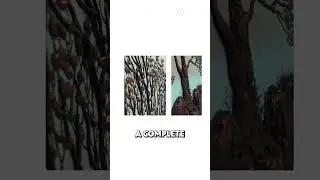 Starting with an Idea: Bringing 3D Landscape Paintings to Life!