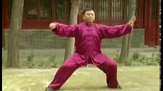 張東武 Zhang Dongwu - 老架一路 Laojia Yilu (Old Frame First Form) 6