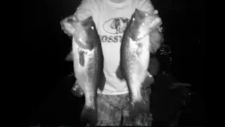 BASS FISHING AT NIGHT WITH TOPWATER WAKE-BAITS!
