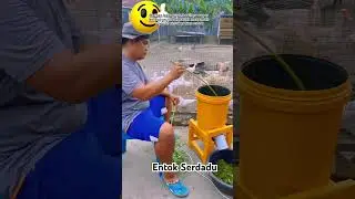 Mesin coper untuk pakan entok