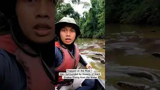 Trapped on the River ! Man Surrounded by Dozens of Giant Snakes Rising from the Water.