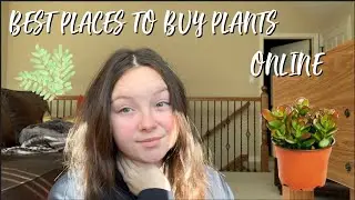 BEST PLACES TO BUY PLANTS AND FLOWERS ONLINE!!