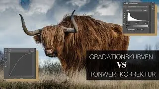 Gradationskurve vs Tonwertkorrektur | Photoshop Tutorial ( German/Deutsch )
