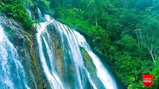 perfect and beautiful waterfall for tranquility ||for relaxation ||focus study ||meditation.