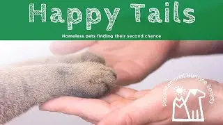June 2022 - Happy Tails