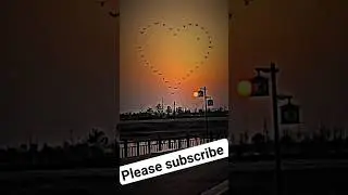 #viral #vayrl#video
