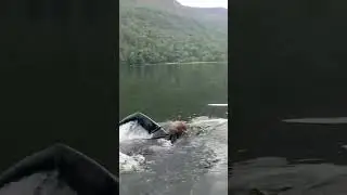 Open water swim at Buttermere Lake District Uk #asmr #lakes  #freestyle #swimming #openwaterswimming