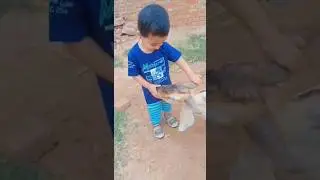 Bakra eid Mubarak #shorts #viral
