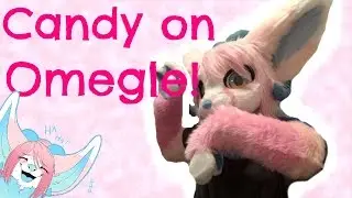 CandyPaws | Meeting Fans!