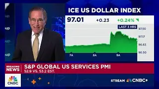 S&P Global US Services PMI stays in expansion territory at 52.9