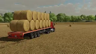 FS22 Lizard Trailer | Thing to know