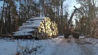 S19 Radzyń Podlaski - Kock, Wycinka lasu w km 9+000