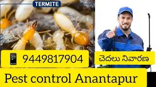 Pest control Anantapur | termite treatment | Home services |  quality pesticide | 100% result servic