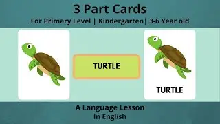 Montessori 3 Part Cards | Nomenclature Cards | Language Lesson | 3 to 6 Year Old | Primary Level