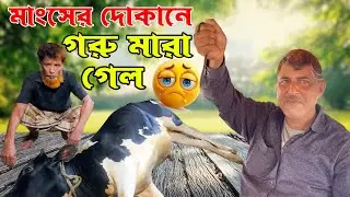 বড় একটি গরু মারা গেলো ইকবাল গোস্তো বিতানে | তারপরও থেমে নেই মাংস বিক্রি ১০টি গরু বিক্রি হলো আজ