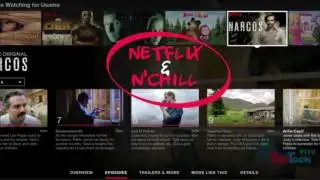 Netflix - A user experience for MGMT6800