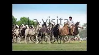 La visita del hijo - El Pampa Cruz