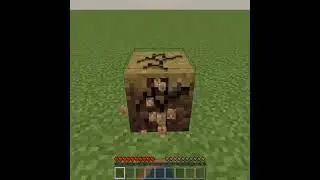 Breaking a Dirt Path Block in Minecraft