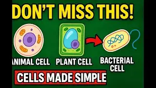 &ldquo;Animal vs Plant vs Bacterial Cells EXPLAINED! | GCSE Biology Revision 🔬🔥&rdquo;